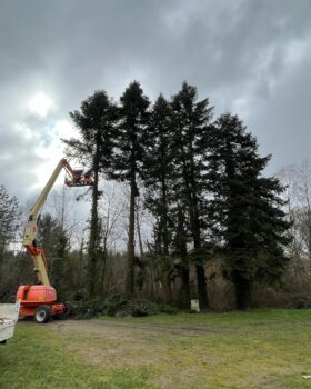 elagage dans le Loiret