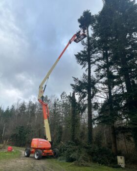 elagage dans le Loiret
