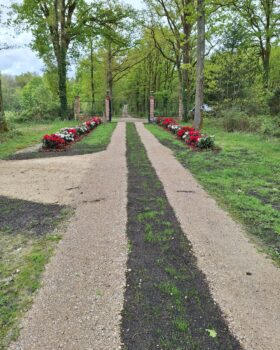 espace vert plantation de fleurs, arbres fruitiers dans le 41