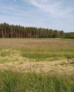 terrassement création etang travaux forestiers dans le Cher, Loiret et Loir-et-Cher