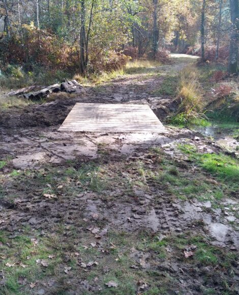 Travaux forestiers - passerelle à Romorantin