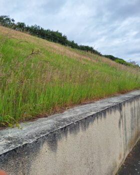 Tonte difficile Vierzon - entreprise paysagisme - espace vert Loir-et-cher Loiret Cher aménagement jardin
